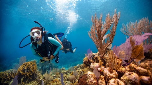 scuba-diving
